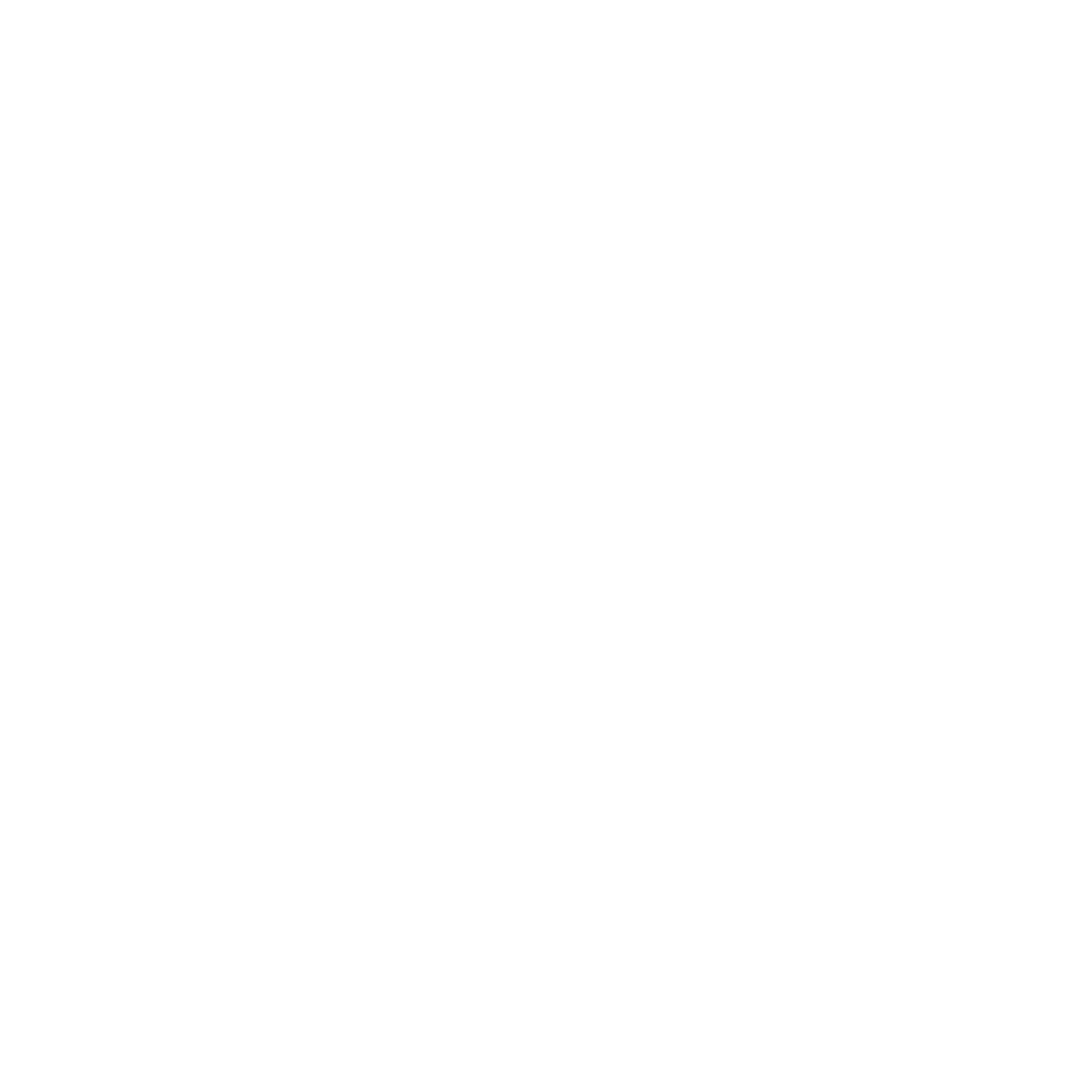 Caravan Pre-purchase Inspections